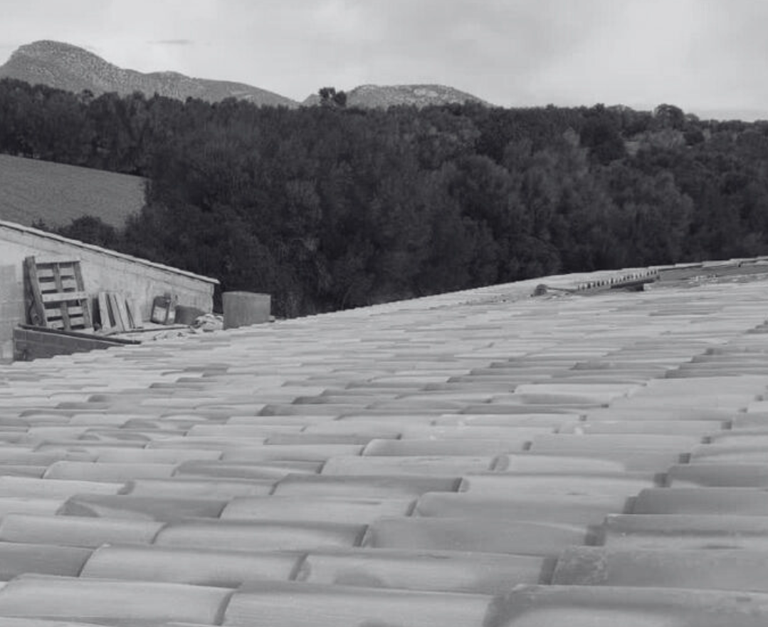 ConstruccionsRDS_tejado